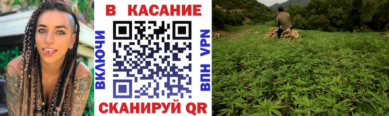 Где продают наркотики Ядрин Cocaine  Гашиш  Alpha PVP  МАРИХУАНА 