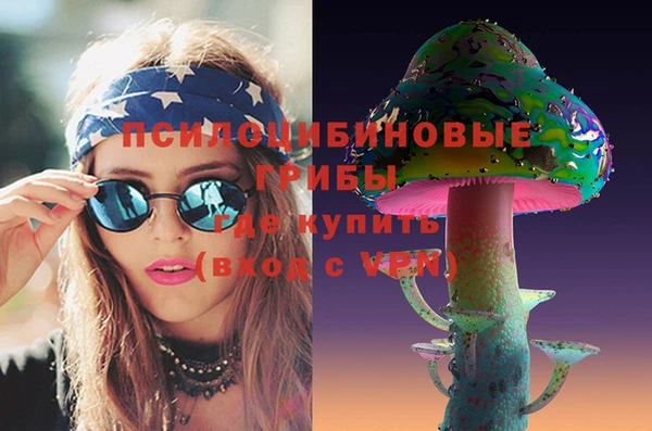 2c-b Осташков