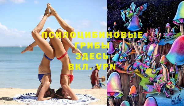 2c-b Осташков